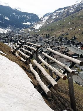 Die Grischa Kastanienholz der Nauli AG in Graubünden liefert hochwertiges Kastanienholz Rundholz